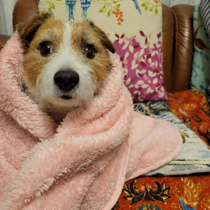 Ca7a7757 635e 43ae 9322 8969efff0258 1675949039769