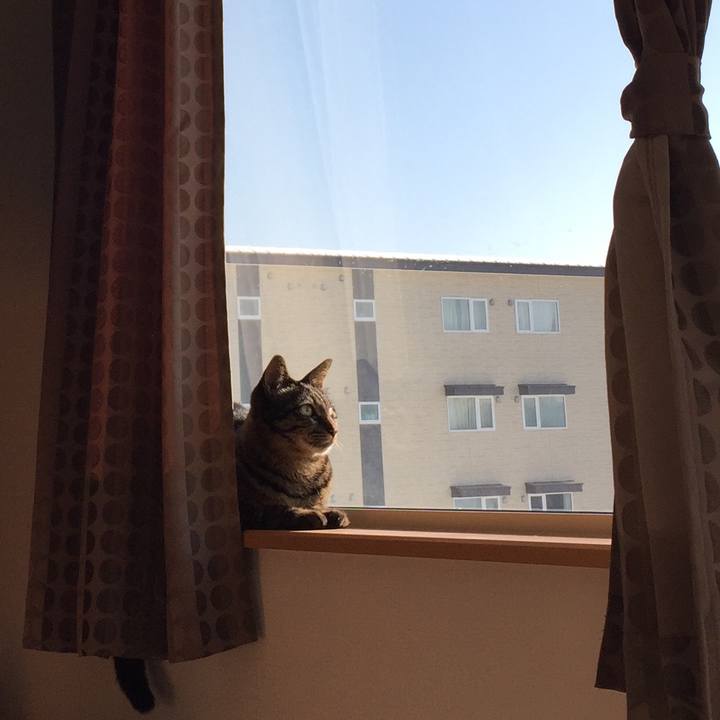 Ca7b19e3 9902 47fe 9ca2 fec4fba22b8f 1516551090317