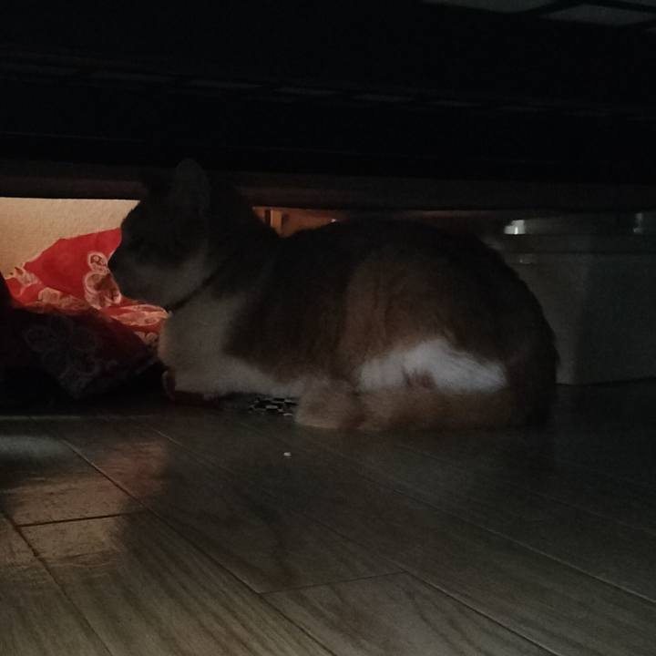 Ca7b1f29 2e01 41c5 bc96 5d4ee7c2c852 1661812252038