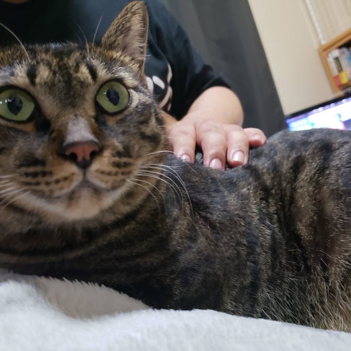 Ca7b3bea 6da9 4c50 b64a 4816c7a46b6a 1599603286454