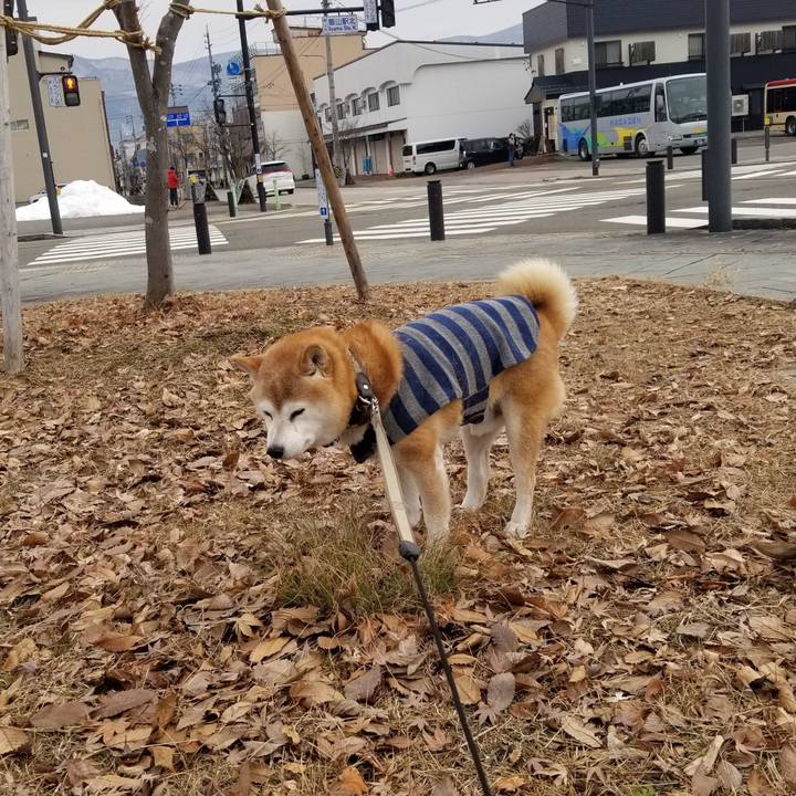 Ca7b3f19 09b8 40ef b77c fc4e62ff794f 1704255458368