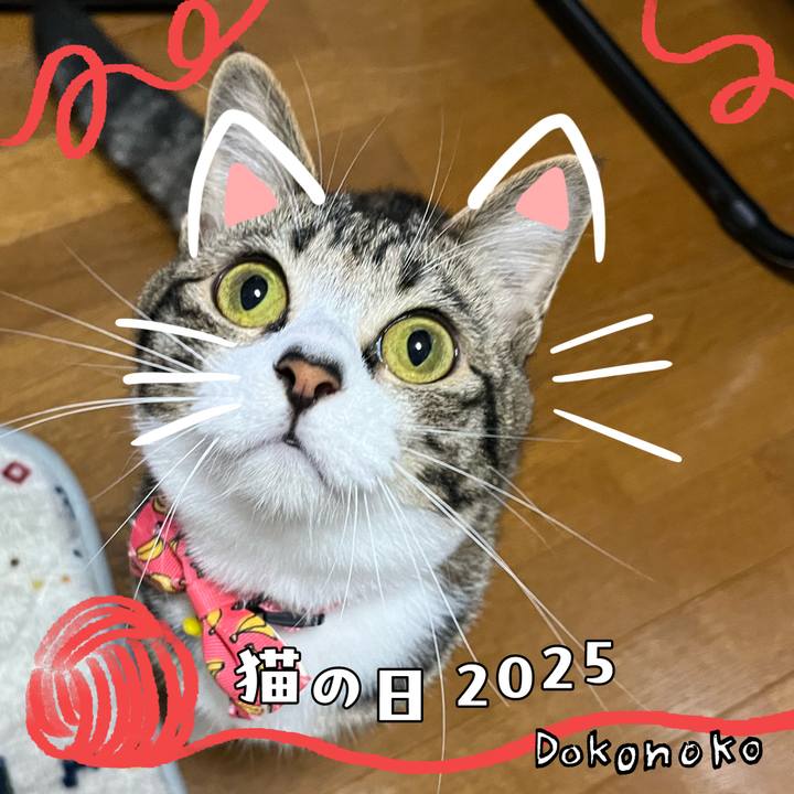 Ca7b50ee 4ae3 4c37 9022 3e2165a82dc5 1740125190264