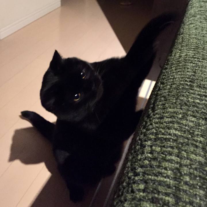 Ca7b6502 d0df 48f9 8138 710768047afb 1583154198923