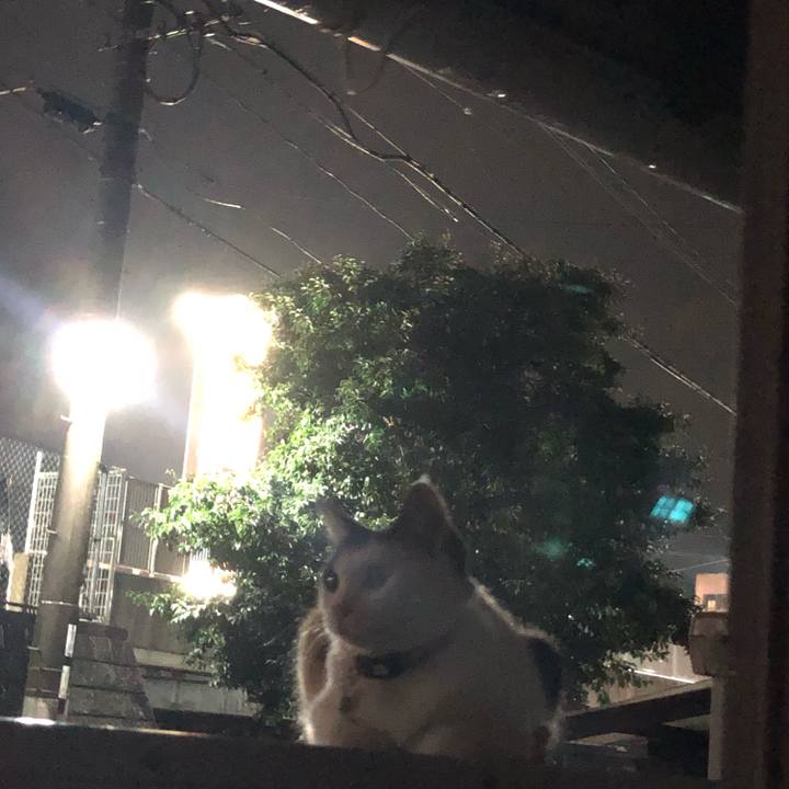 Ca7b888d 5302 4288 9be9 069a59f90c26 1629114622541