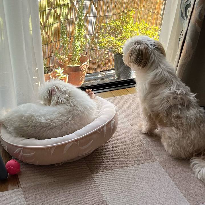 Ca7bc6ff 1061 45a7 b85e 41fe3482611e 1653891809619