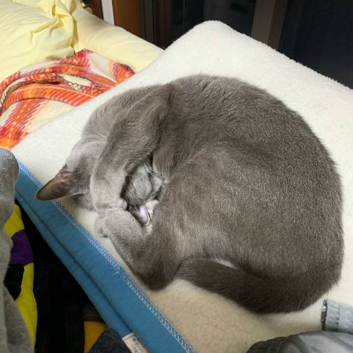 Ca7be2de 6370 4a94 b168 53b4ed01dea5 1578833371811