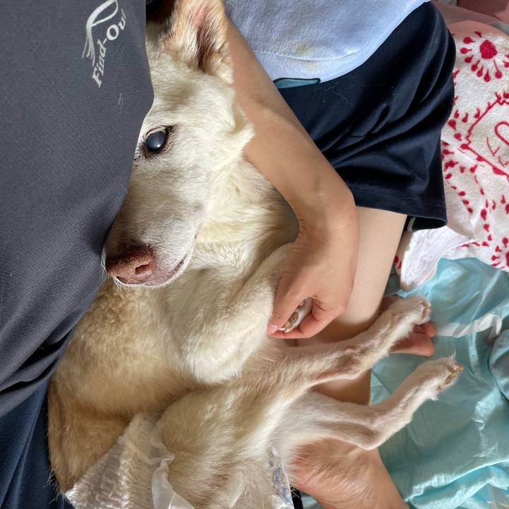 Ca7c46c7 5abc 476e 9065 f67f27102e2f 1681955902564