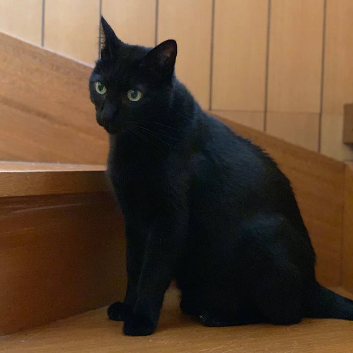 Ca7c5850 0523 47d3 935a 10c91bd5a599 1563328934082