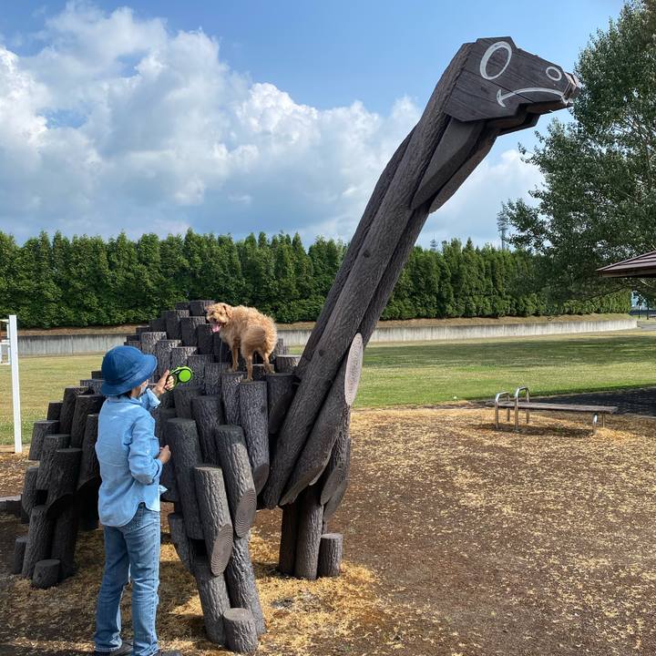 Ca7c8627 5b65 4e54 8ae1 175c101e1bf0 1625474924293