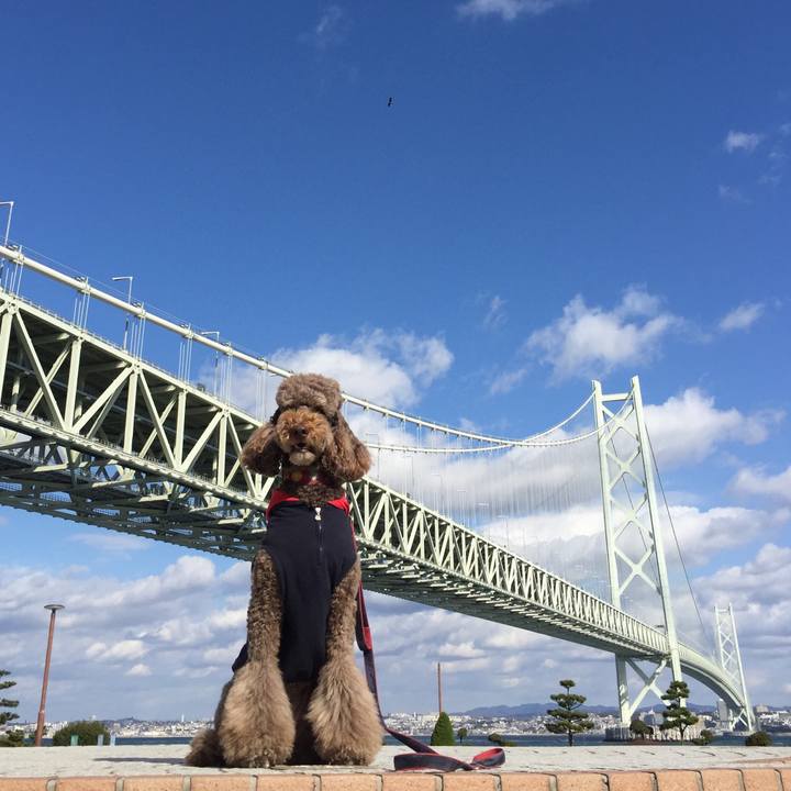 Ca7c8f06 e8b3 4f31 817e b1fbd8b8e366 1511764284244