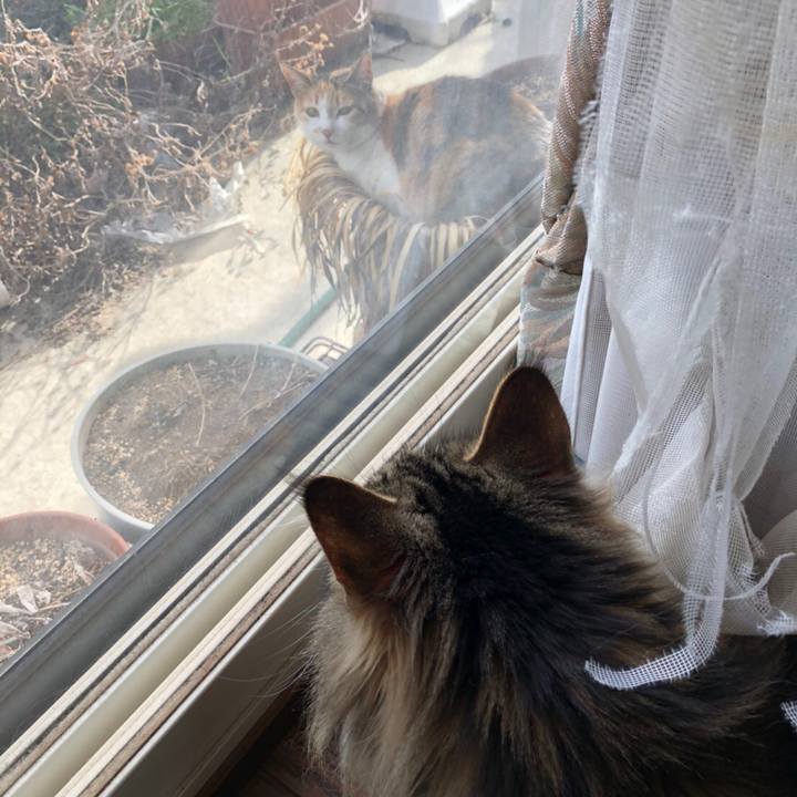 Ca7ca03c efe2 46d8 bf55 44619624a27f 1523605027701