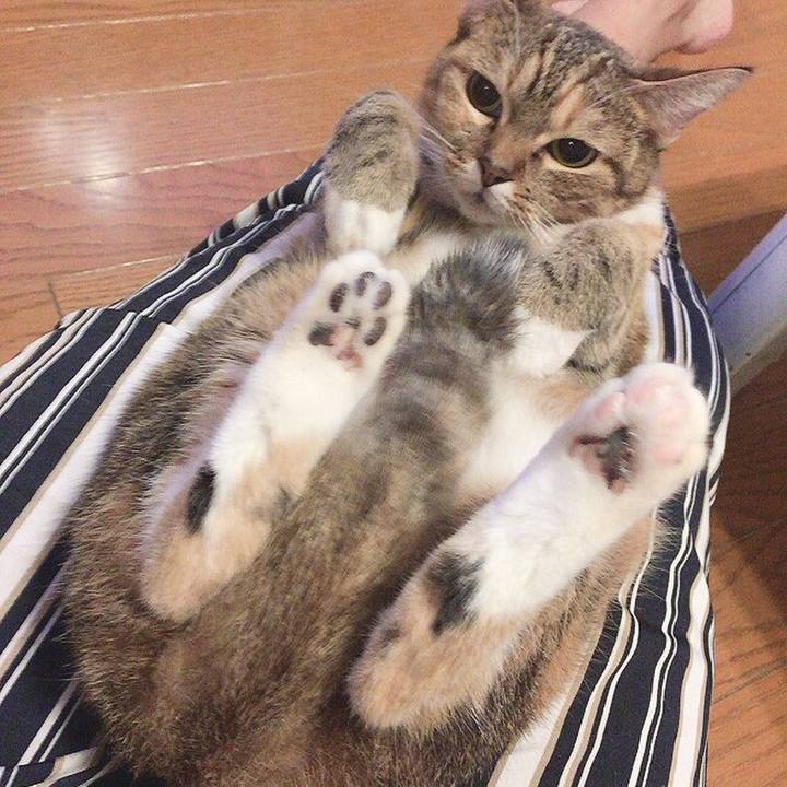 Ca7cec5d a8c3 4c64 9c44 3d0665118704 1572708796381