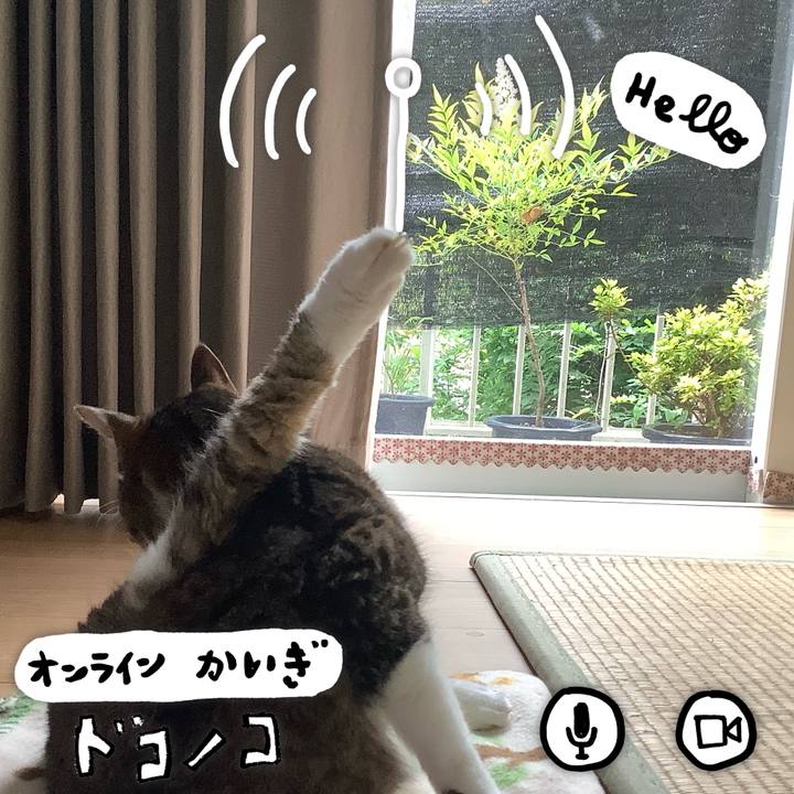 Ca7d3358 576e 4da0 b6c7 72d0f5a611fb 1590817054148