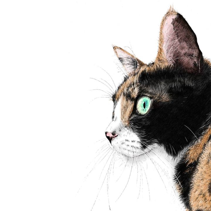 Ca7d3d3e 2496 4c68 b80e 265745a11798 1639305892716