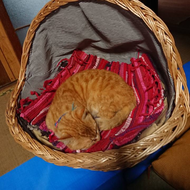 Ca7d810b c044 4470 bf84 55de8f734ca5 1557909581953