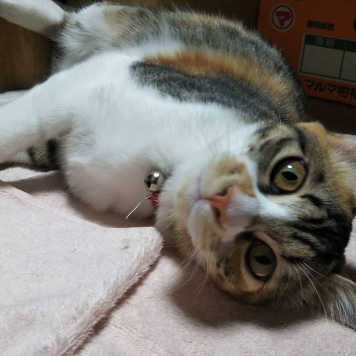 Ca7da296 4217 4da7 99c0 cd900c83d29a 1635806387235