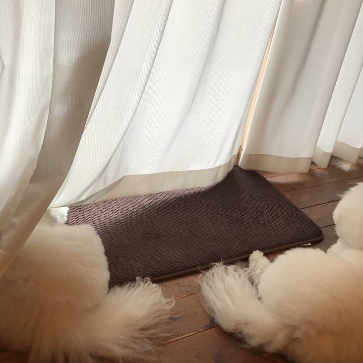 Ca7da346 0788 4255 9ee2 732b85a919a1 1528361130607