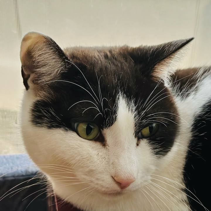 Ca7dba70 4045 444f 8243 6fbaf9377d26 1674872454264