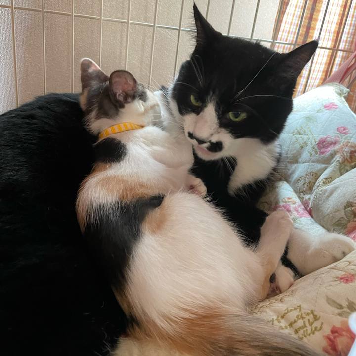 Ca7ddffd f6ec 42b3 8918 eaad457392f2 1658544695050