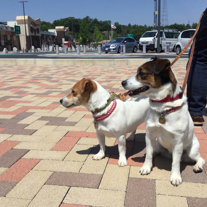 Ca7dfd90 734e 40db 8bc0 eae66987a2b3 1557539288290