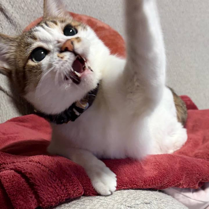 Ca7dfe76 d699 4465 a933 aca6b5aaa529 1769120384940