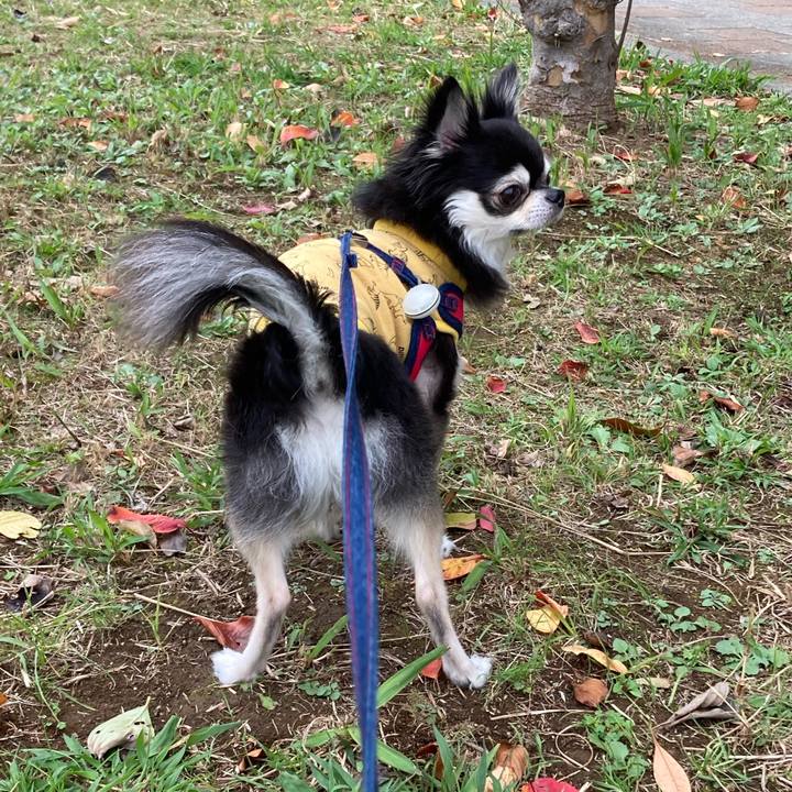 Ca7e22a4 704f 43f3 84b8 b51b4e0d93e1 1699679697695