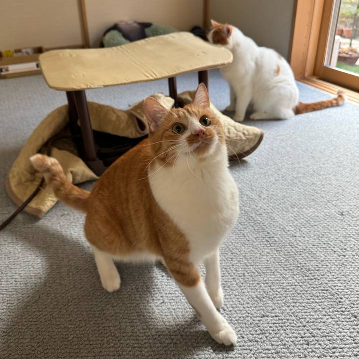 Ca7e26da b2c0 4cf9 b539 0303ae9fee4b 1763189966753