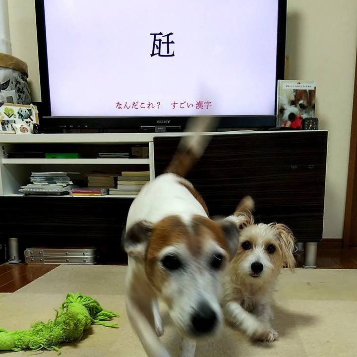 Ca7e525a d7c4 41c6 8724 ea94f3cc7489 1555538591517