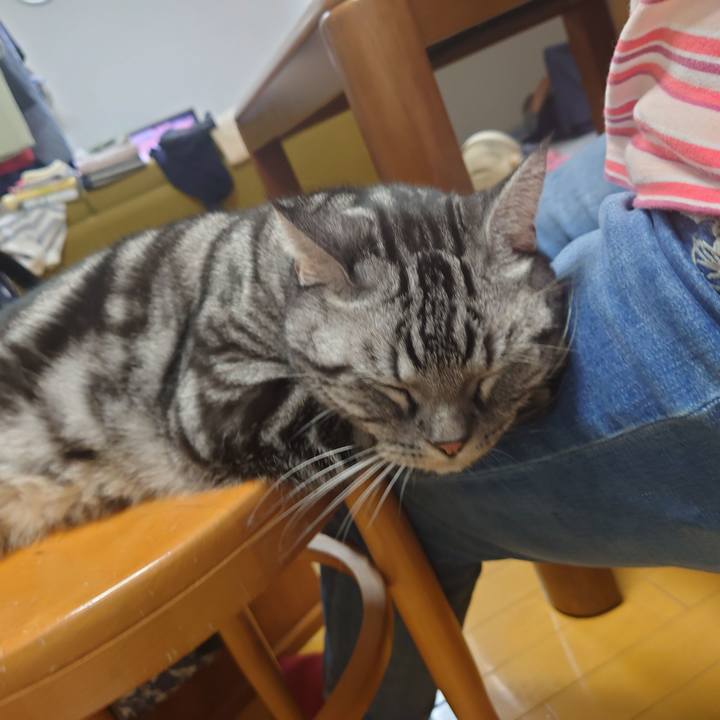 Ca7e70af bbfc 4bb0 88f7 8670f148eb96 1662117621624