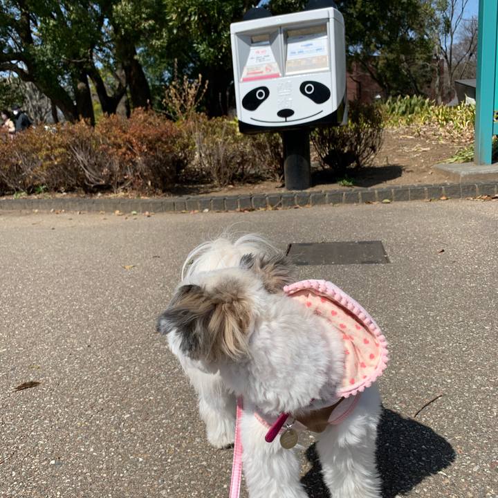 Ca7e87ab b06f 4060 9470 befc62b65a80 1615374507440