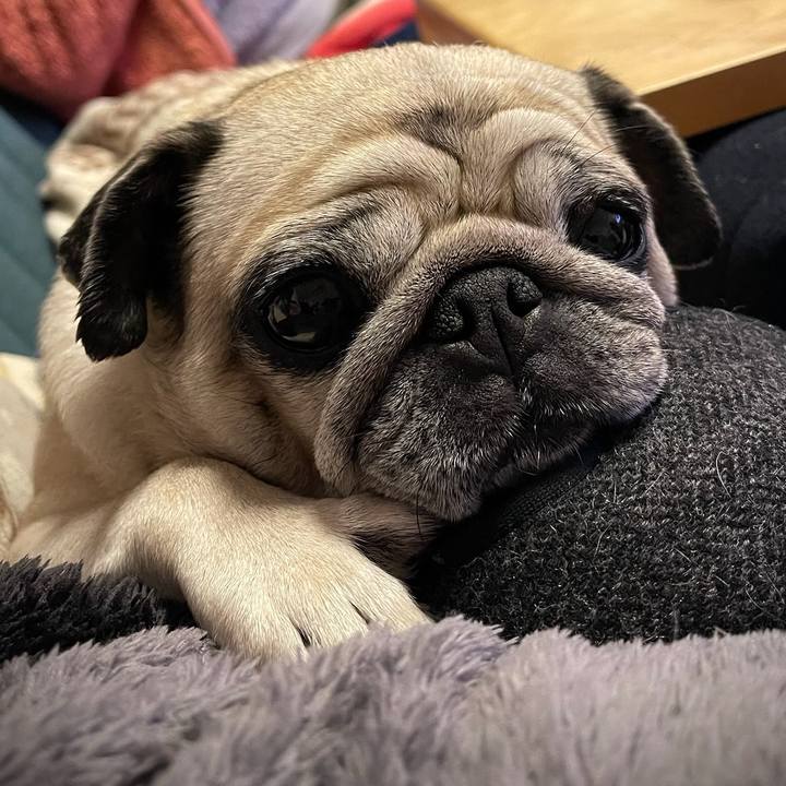 Ca7e8dac b380 468a 8b8a ba4756eec7ee 1771377760873