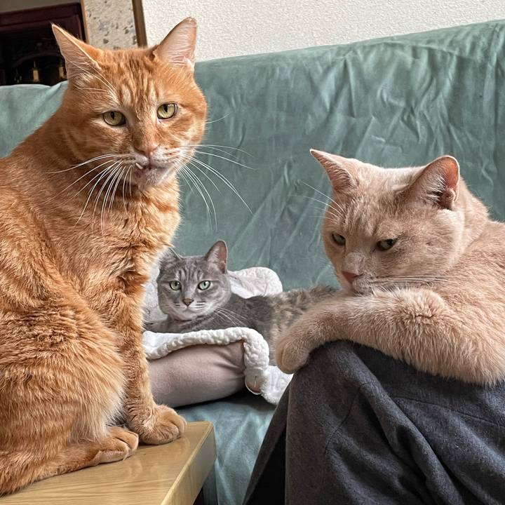 Ca7e963b 36f2 4417 a273 e9279b3a9b4b 1696336188102