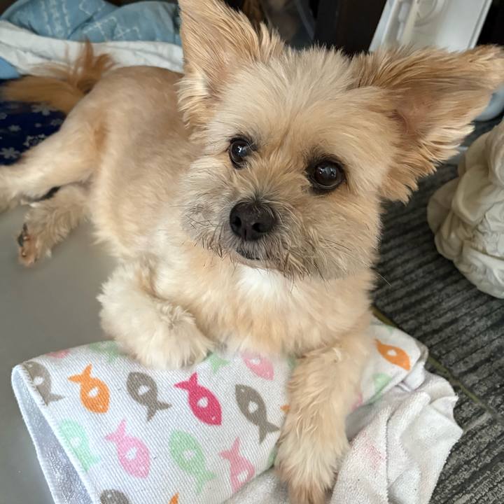 Ca7e9902 555f 49af 8993 9a30efc275d2 1757817748141