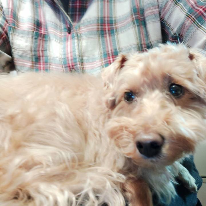 Ca7eec57 0055 4fe4 954c 601024b2443a 1612389664290