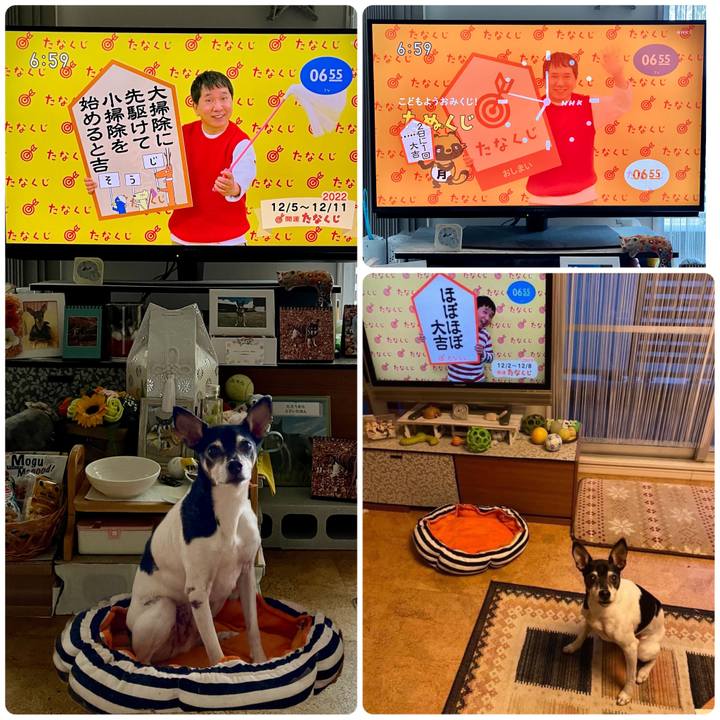 Ca7ef517 e47a 4794 8f34 2af77444f6bf 1670195055272