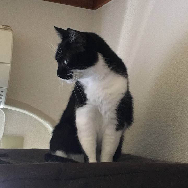 Ca7f220f 90b5 4078 b10d 6568614edb33 1534563771404