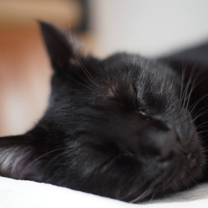 Ca7f81cb c3d5 453e b610 6347e8b6add1 1529763438885