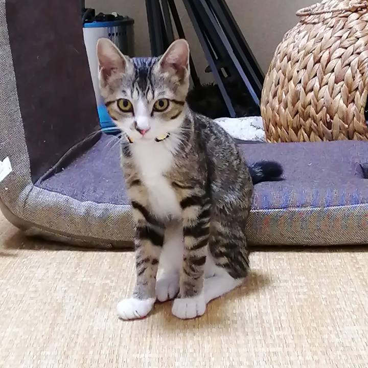 Ca7fa438 a50a 49d1 a7ea ac3050132ee7 1661555455296