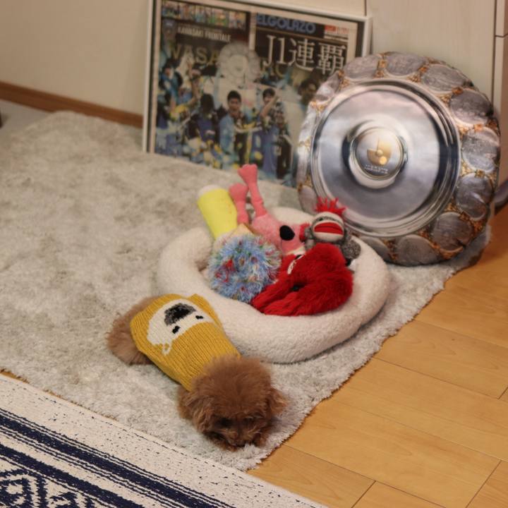 Ca7ff972 be7a 478c 933d 70ecc07849cb 1577282260912