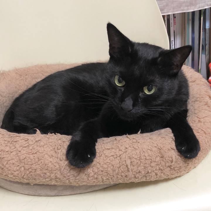 Ca803119 9d2e 40cb 836c 63ccb28dd960 1600950606508