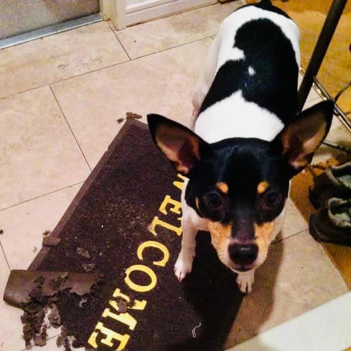 Ca8068d8 76c7 4e95 b899 8fbefaa355bd 1772848514976