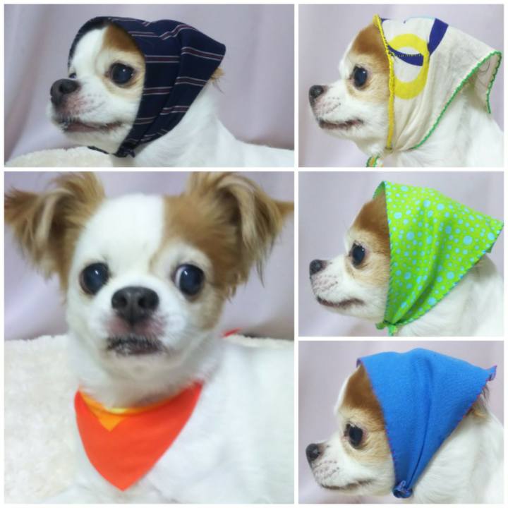 Ca807cd6 1db8 467e ab4b dcf7027f98ee 1588597533477