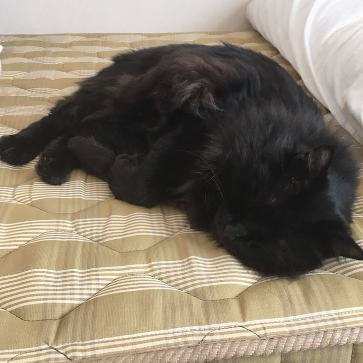 Ca80ae19 4712 4ad1 822c ae00e8a8a7c0 1545705872050