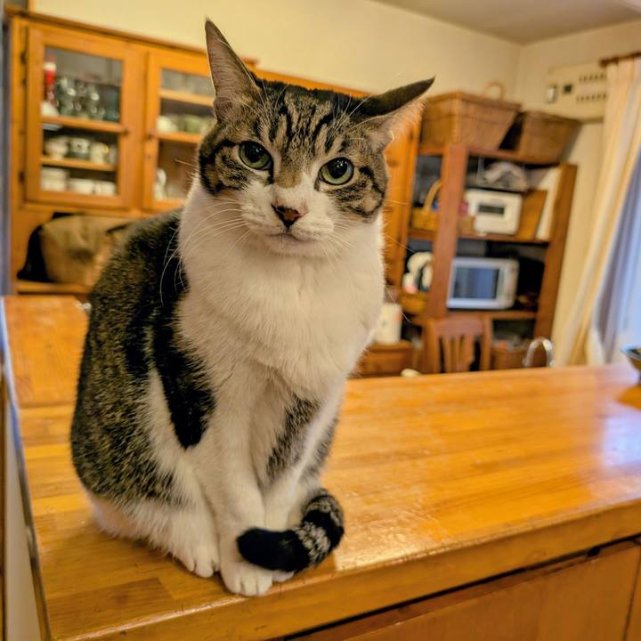 Ca8133b6 7320 4a5c 97e4 cf407eef2cb2 1765753898010