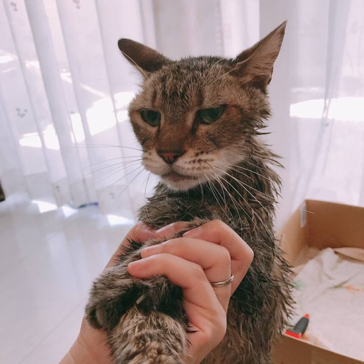 Ca818410 bee8 489d bd25 d133cac5621e 1597371798574