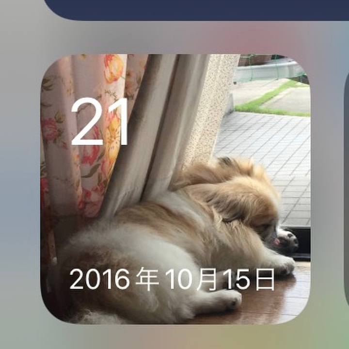 Ca818e4a e2b4 4893 a17f efa940cf602b 1634810639594