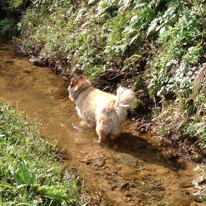 Ca819be2 2d98 4ece 9c5f c7a0dcb04cd4 1611799567272