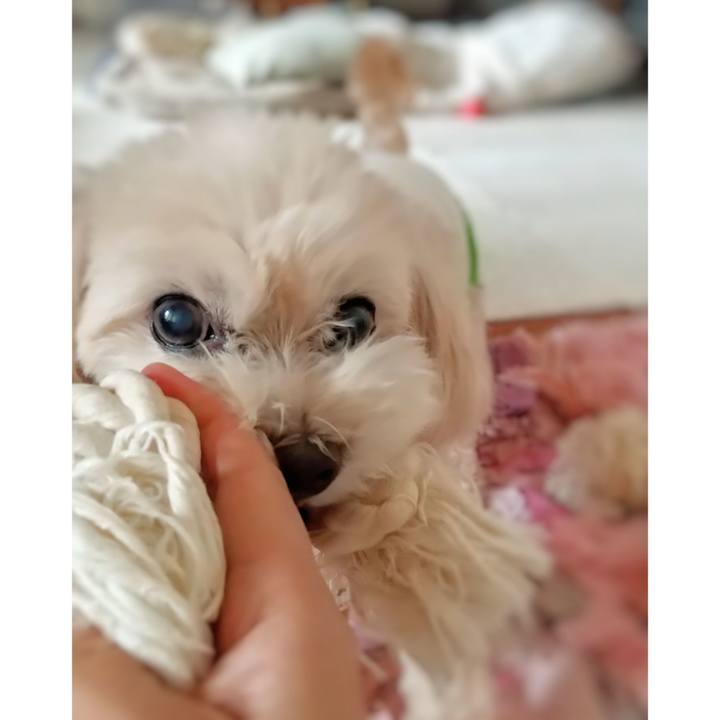 Ca81a567 f1ba 4ea2 b265 1a8b501a9849 1628461485848