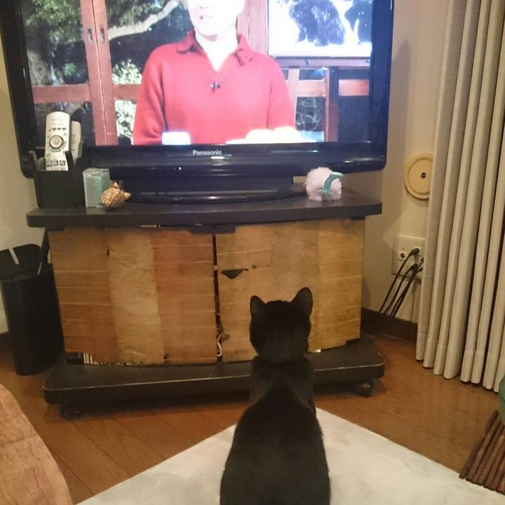 Ca81b58f 69e1 47e9 91af f763cda51bec 1514583316213