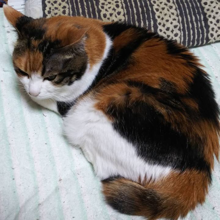 Ca81be58 78ba 4518 9438 e99ec264e674 1557870254400